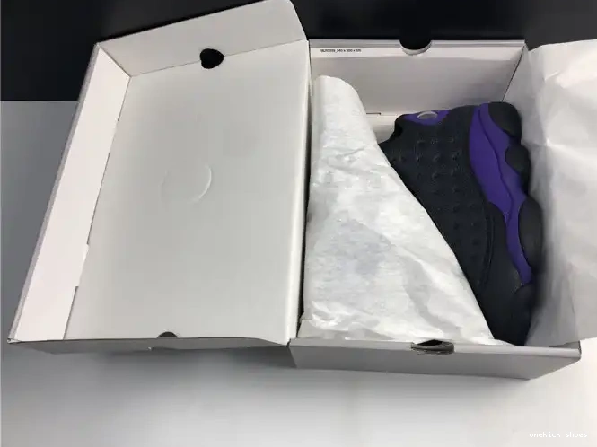 Rep Onekick Purple 13 Jordan DJ5982-015 Court Air 0329